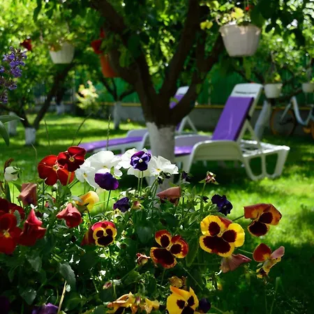 Homestay Helen Vama Veche