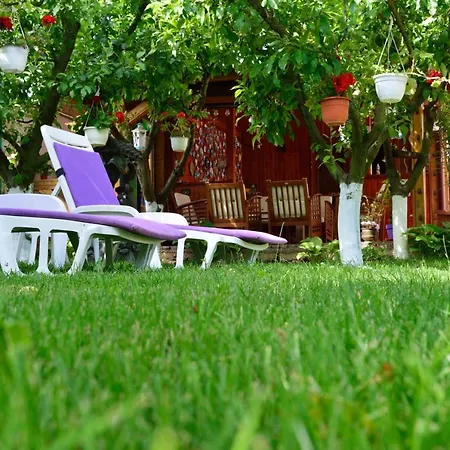 Homestay Helen Vama Veche