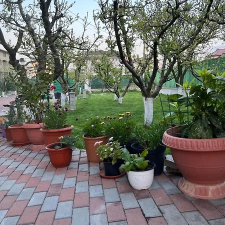 Habitación en casa particular Helen Vama Veche