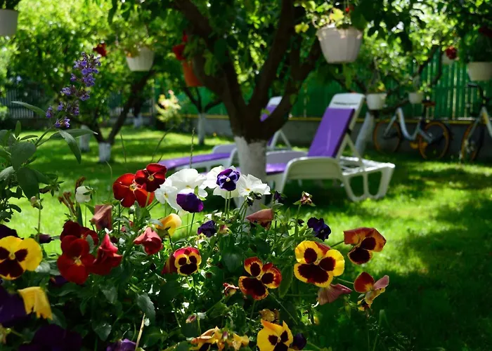 Privatunterkunft Helen Vama Veche